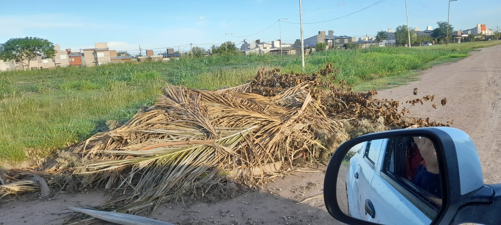  Denuncian presencia de restos de montículos verdes en Funes City: “Ocupan media calzada”